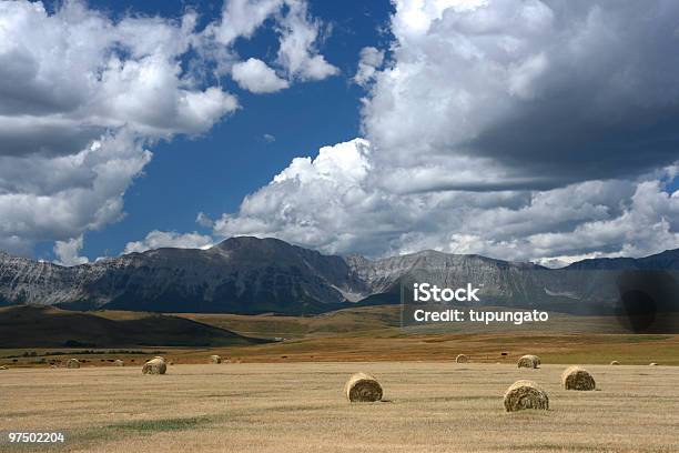 Photo libre de droit de Au Canada banque d'images et plus d'images libres de droit de Agriculture - Agriculture, Alberta, Blanc