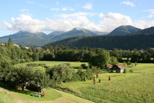 Meadow in Valley in Austria having lots of small houses like barns storing food for the animals for the winter.