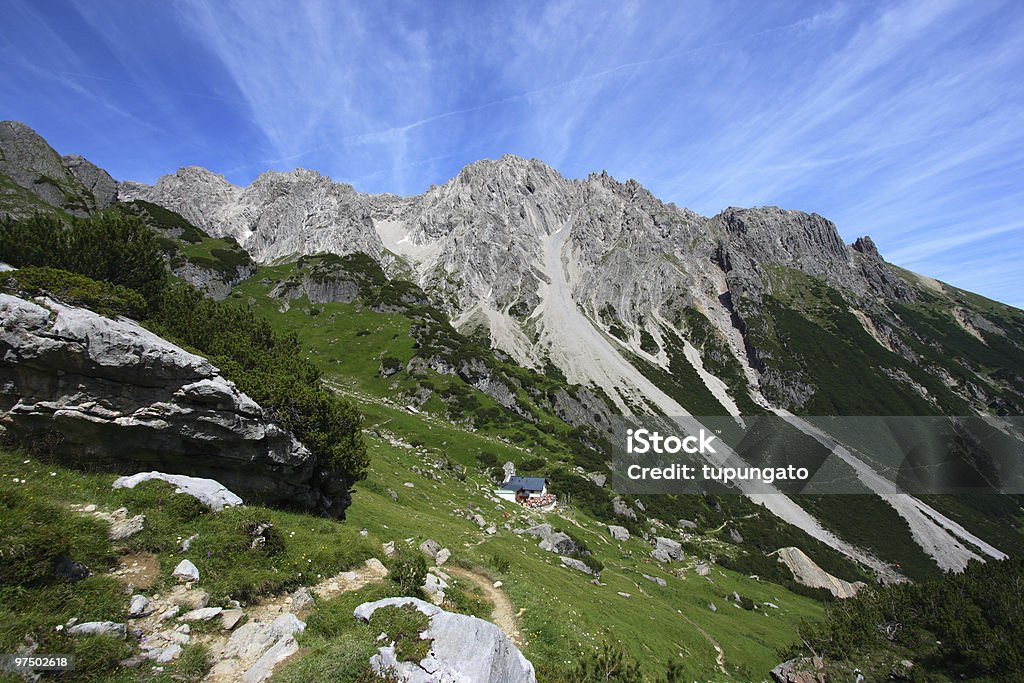 Paisagem alpes australianos - Foto de stock de Alpes europeus royalty-free