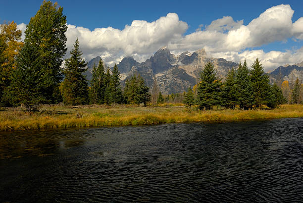 istock Schwabacher Landing 97503761