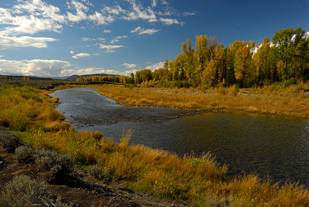 istock Schwabacher Landing 97503769