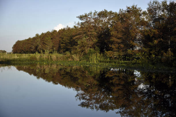 istock Loxahatchee National Wildlife Refuge 975037986