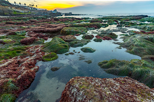 La Jolla Cove Beach Seascape, Tranquil sunset landscape over Shell Beach in La Jolla, San Diego, Southern California, USA