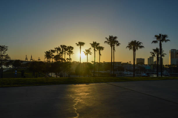 istock Sunset at Shoreline Aquatic Park in Long Beach, CA 975045586