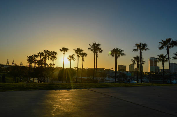 istock Sunset at Shoreline Aquatic Park in Long Beach, CA 975045594