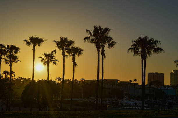 istock Sunset at Shoreline Aquatic Park in Long Beach, CA 975045754