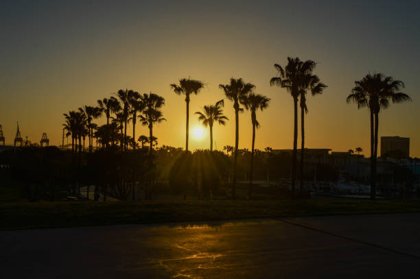 istock Sunset at Shoreline Aquatic Park in Long Beach, CA 975045956