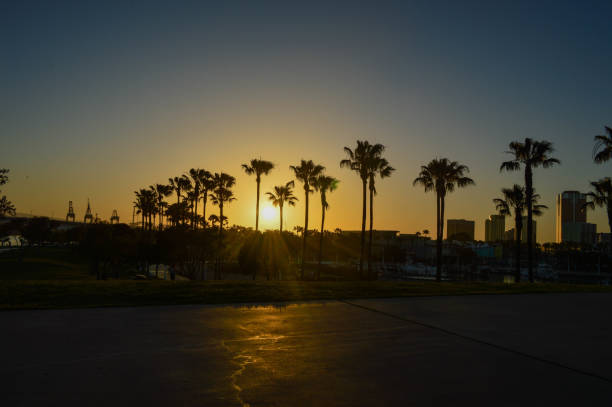 istock Sunset at Shoreline Aquatic Park in Long Beach, CA 975046154