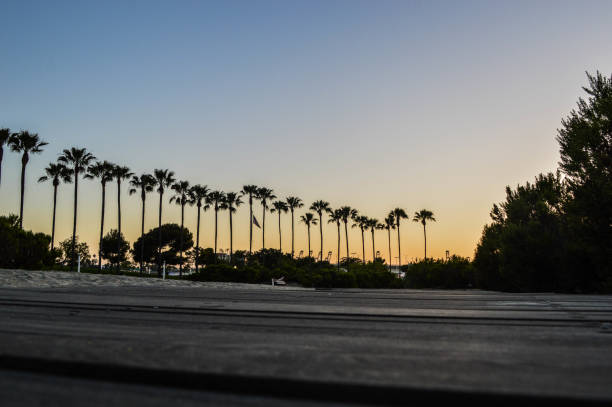 istock Sunset at Shoreline Aquatic Park in Long Beach, CA 975046980