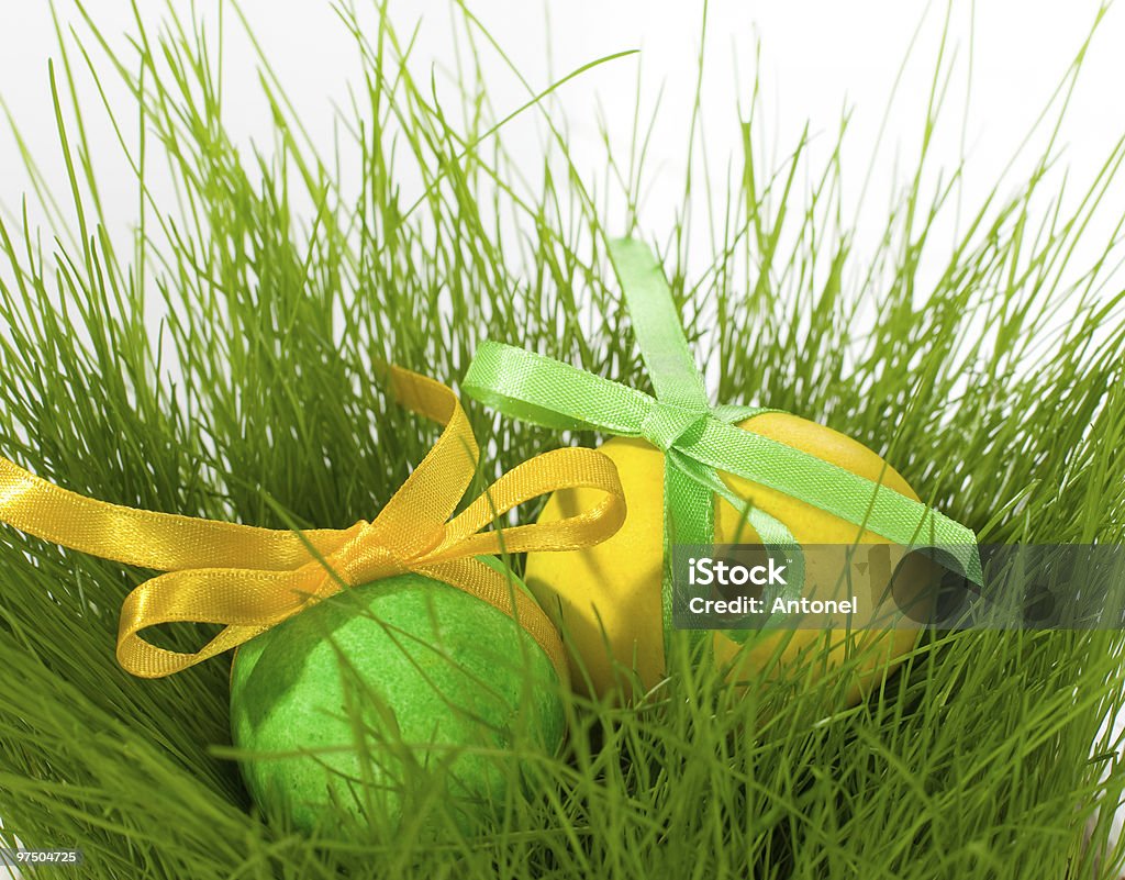 Oeufs de Pâques en herbe - Photo de Couleur libre de droits