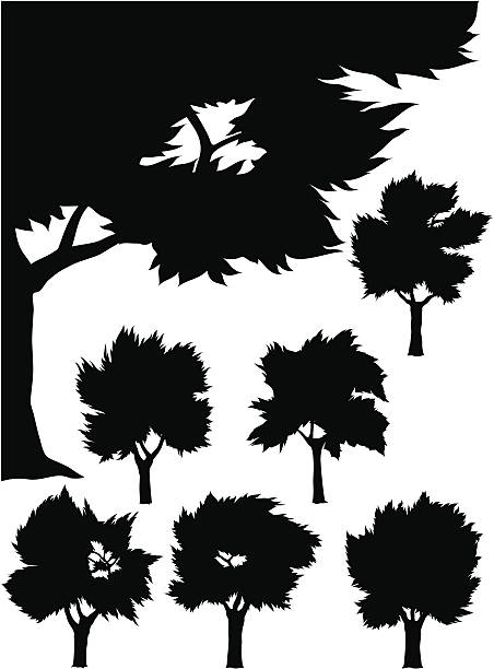 Silhouette von Bäumen – Vektorgrafik