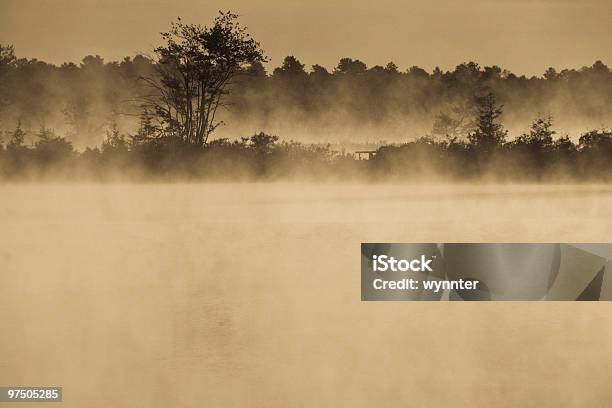 Sepia Bog Z Mgły Rano - zdjęcia stockowe i więcej obrazów Pine Barrens - Pine Barrens, Stan New Jersey, Bez ludzi