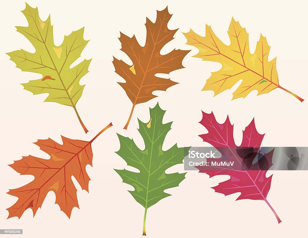 倒れたオークの葉 - 葉のロイヤリティフリーベクトルアート