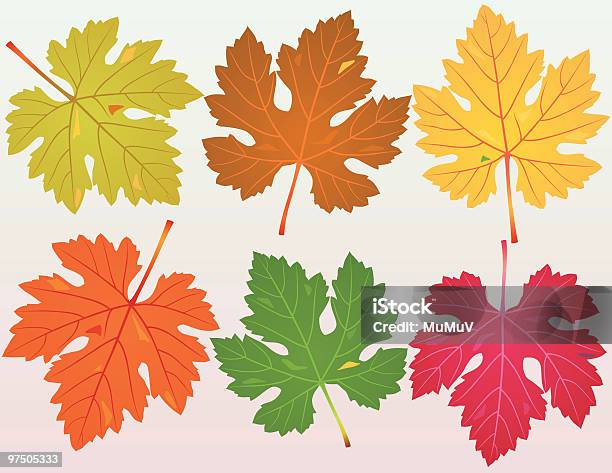 타락 그레이프바인 잎 0명에 대한 스톡 벡터 아트 및 기타 이미지 - 0명, 가을, 갈색