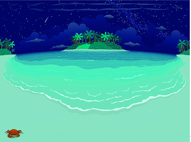 Nocturne playa Tropical & Island-amplia - ilustración de arte vectorial