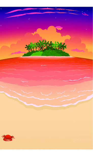 Puesta de sol Tropical playa & isla - ilustración de arte vectorial