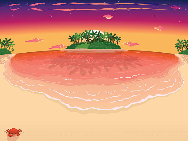 夕暮れ時のトロピカルビーチ&島の太陽、広いバージョン表示 ベクターアートイラスト