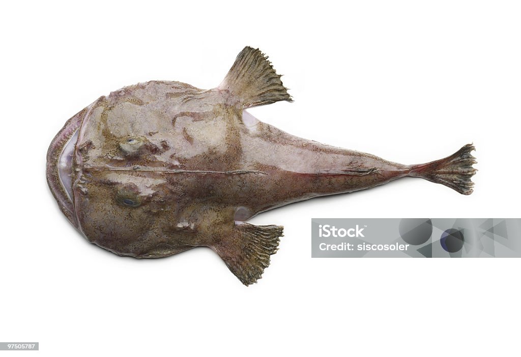 Statua del Ratto - Foto stock royalty-free di Rana pescatrice