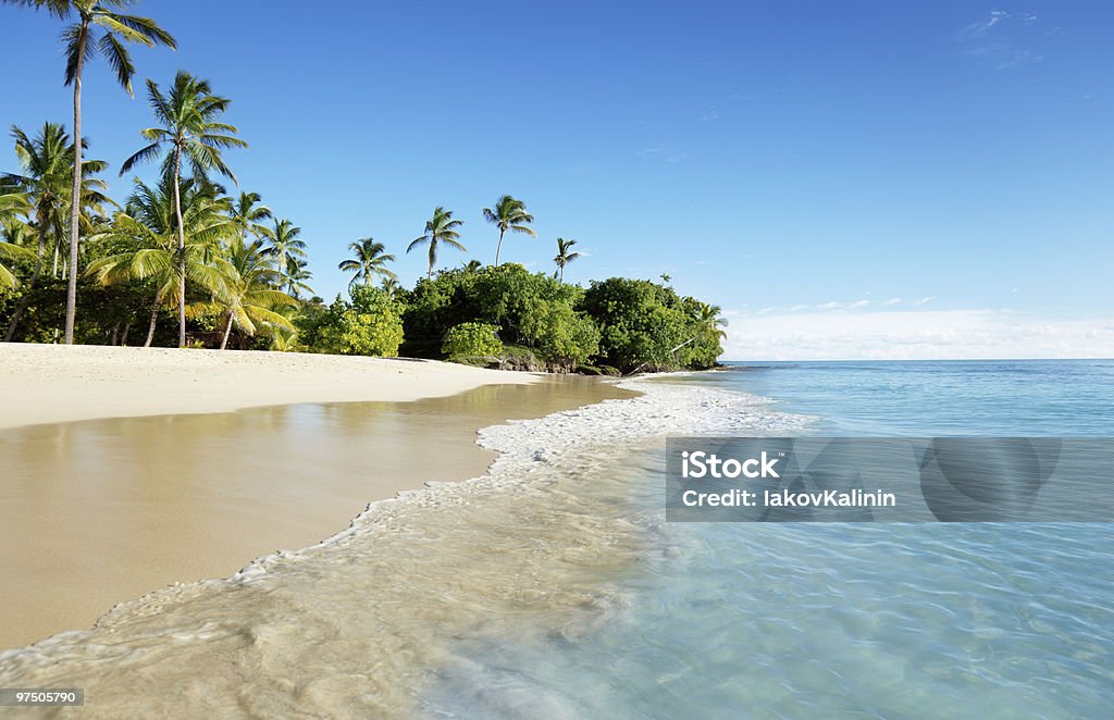 caribbean sea and palms  Bay of Water Stock Photo