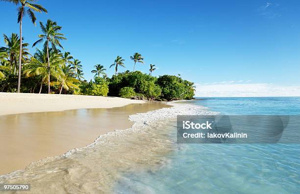 Caribbean Sea And Palms Stock Photo - Download Image Now - Bay of Water, Beach, Beauty In Nature