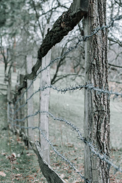 istock Barbed wire fence 975058994