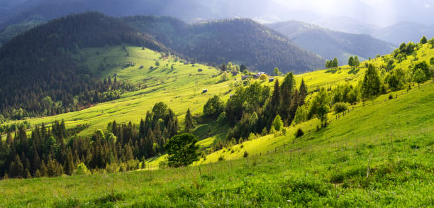 istock Mountain valley during sunset. Natural panoramic landscape at the summer time 975092024