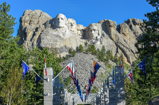 State flags and mount Rushmore
