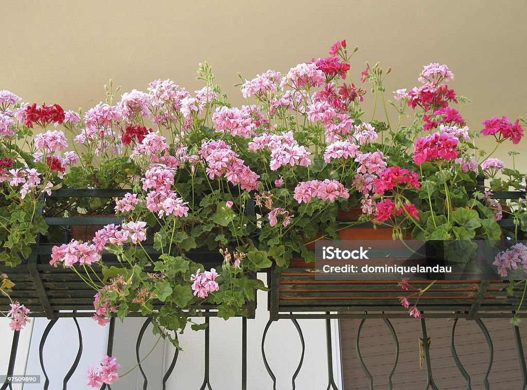 geraniums auf Balkon - Lizenzfrei Balkon Stock-Foto