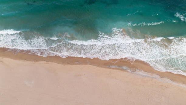 istock Aerial view landscape scene of empty tropical beach 975105566