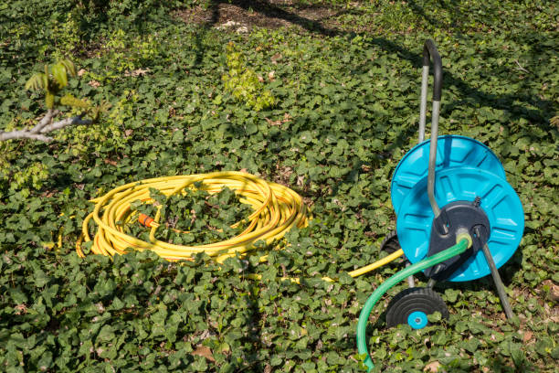 istock Watering hose and spool on grass in the garden 975106396