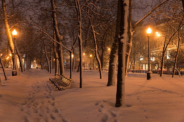 istock Winter evening. Moscow. Russia. 97510688