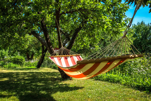 Hammock between two trees A striped hammock between two trees in a sunny green garden. Concept for holidays, summer vacation and lazy days. swedish summer stock pictures, royalty-free photos & images