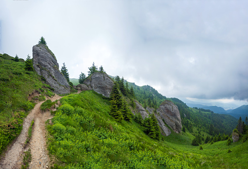 Panoramic view of Mount Ciucas on summer, part of the Carpathian Range from Romania