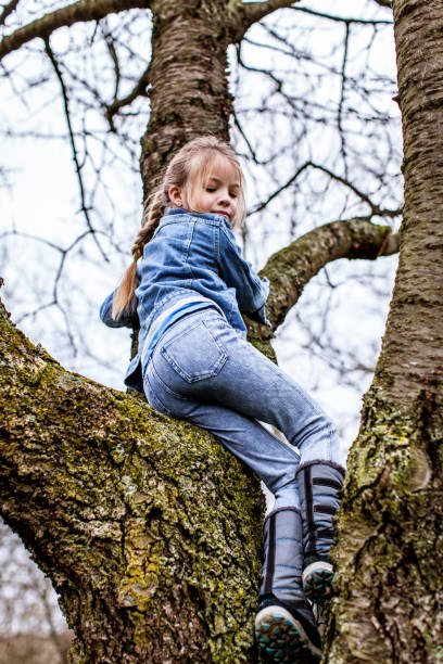 istock Low Angle View Of Girl On Bare Tree 975133530