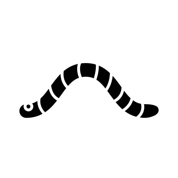 ilustrações, clipart, desenhos animados e ícones de ícone de worm - caterpillar white isolated white background