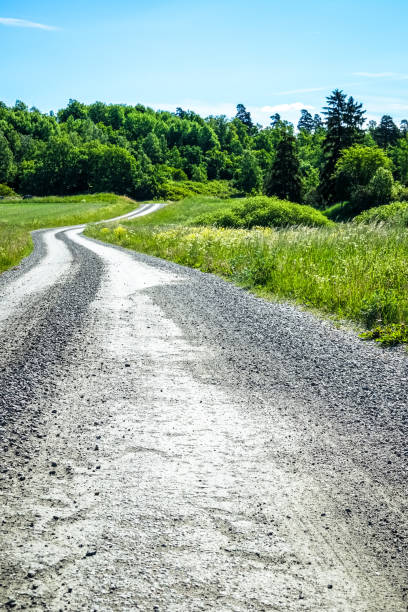 istock Curvy dirt road in the countryside 975150978