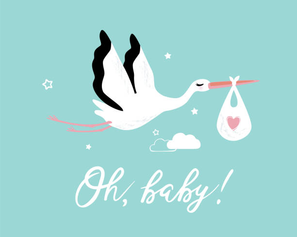 ilustraciones, imágenes clip art, dibujos animados e iconos de stock de ilustración de vector de un baby shower invitación con cigüeña - newborn