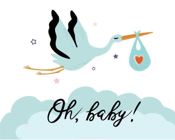 ilustrações de stock, clip art, desenhos animados e ícones de vector illustration of a baby shower invitation with stork - backgrounds party birthday announcement message