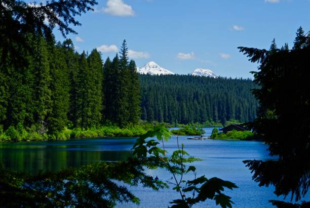Cold Middle Sister Lake Northwest Oregon's Cascade Range.
Willamette National Forest.
McKenzie River Source.
South Sister On Right. willamette national forest stock pictures, royalty-free photos & images