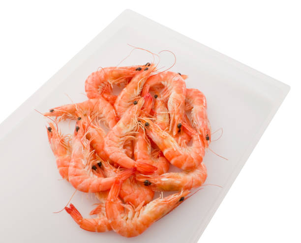 istock Cooked Prawns or Tiger Shrimps in A Tray 975163512