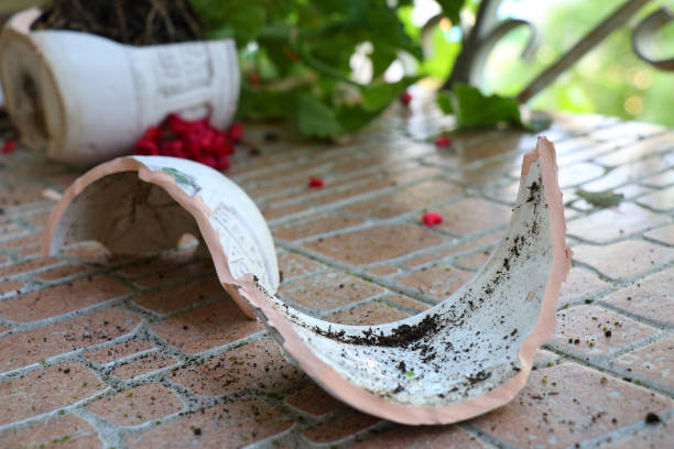 broken flower pots with geranium plants lies on the floor - pottery shard imagens e fotografias de stock