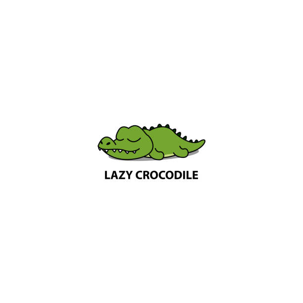 113 Sleeping Crocodile Illustrations Illustrations & Clip Art - iStock