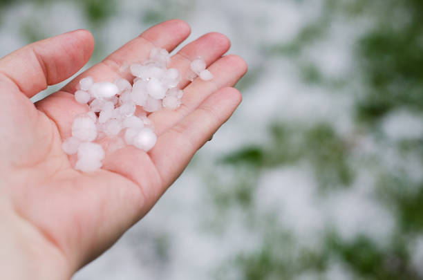 istock Spring hail in the girl's hand 975166440