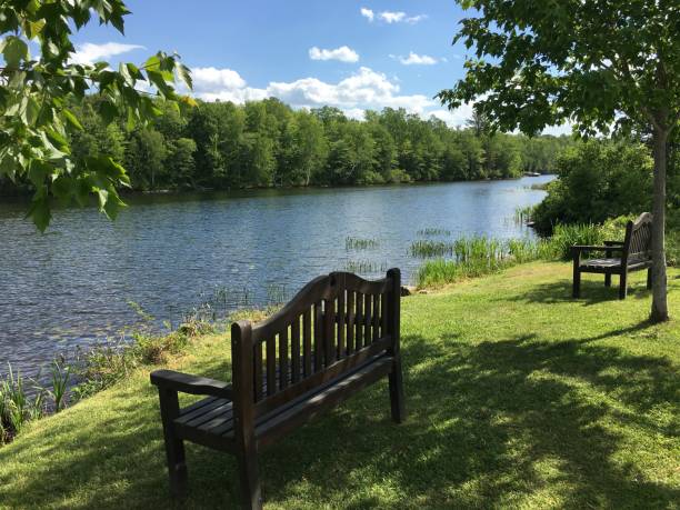 istock Two benches by the lakeshore on a sunny summer day 975183648