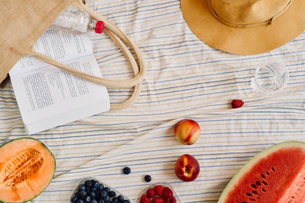 summer picnic setting with healthy food, blueberries, raspberries, peaches, water melon, melon, hat, book, water, beach bag. Outdoor gathering concept. stock photo