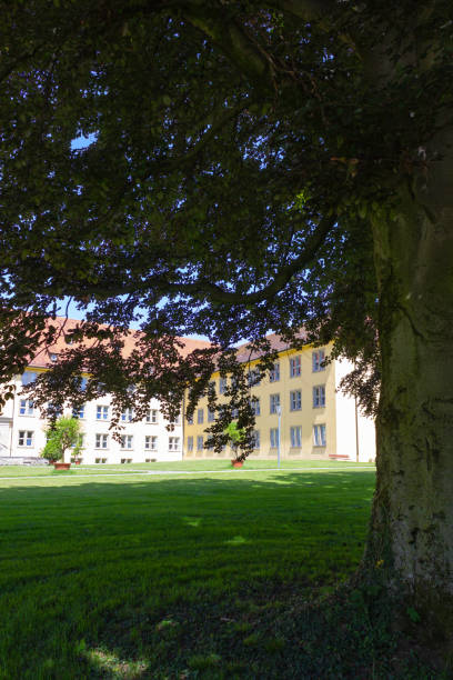 istock historical city park trees and lawn 975196076