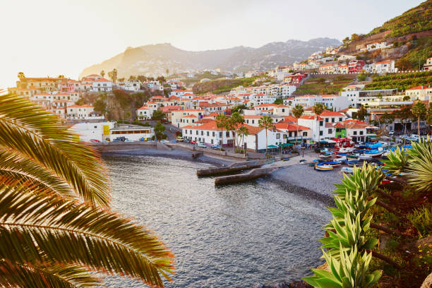 Vista del villaggio di Camara de Lobos, Madeira, Portogallo - foto stock