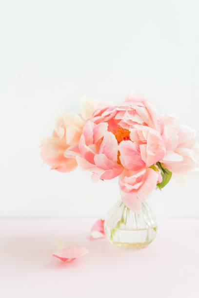 istock Fresh bunch of pink peonies in a tiny vase 975216858