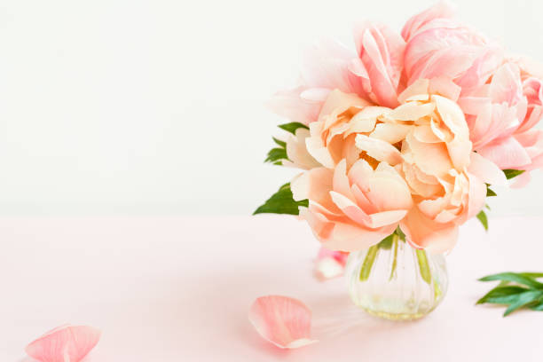 istock Fresh bunch of pink peonies in a tiny vase 975216984