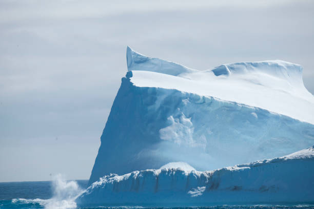 istock Antartica and the beautiful water 975241336